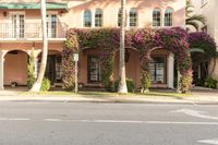 some plants are growing in front of a building in miami beach, florida, usa