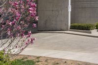 a pink flower growing in a yard by a building with a tree and some bushes in front