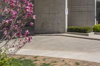 a pink flower growing in a yard by a building with a tree and some bushes in front