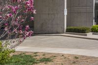 a pink flower growing in a yard by a building with a tree and some bushes in front