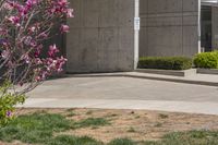 a pink flower growing in a yard by a building with a tree and some bushes in front