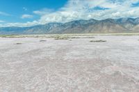 the sand is very pink in this landscape with mountains in the distance and a lot of water in the middle of the land