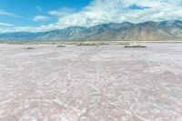 the sand is very pink in this landscape with mountains in the distance and a lot of water in the middle of the land