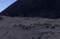 the lone cow is standing on the black sand in the desert, behind him, is a large mountain of rocks