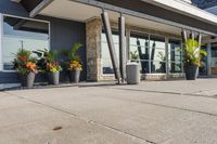 planters line the sidewalk in front of a business building that houses an entertainment center