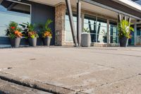 planters line the sidewalk in front of a business building that houses an entertainment center