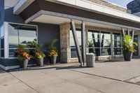 planters line the sidewalk in front of a business building that houses an entertainment center