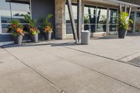 planters line the sidewalk in front of a business building that houses an entertainment center