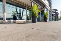 planters line the sidewalk in front of a business building that houses an entertainment center