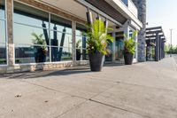 planters line the sidewalk in front of a business building that houses an entertainment center