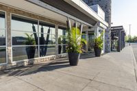 planters line the sidewalk in front of a business building that houses an entertainment center