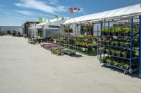 a large variety of plants and flower pots in front of a white tent in an enclosed area