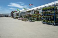 a large variety of plants and flower pots in front of a white tent in an enclosed area