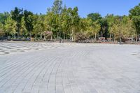 an empty, circular stone walkway with benches along side it and green trees lining both sides