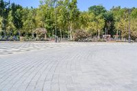 an empty, circular stone walkway with benches along side it and green trees lining both sides