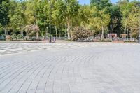 an empty, circular stone walkway with benches along side it and green trees lining both sides