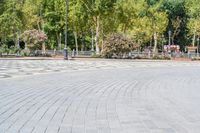 an empty, circular stone walkway with benches along side it and green trees lining both sides