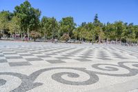 a walkway has black and white patterns on it in a park with trees in the background