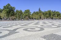 a walkway has black and white patterns on it in a park with trees in the background