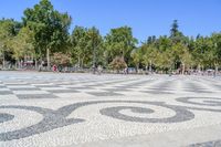 a walkway has black and white patterns on it in a park with trees in the background