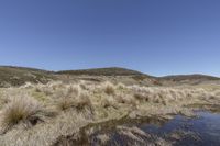 a pond sitting between two mountains near a field of grass and tall grass under a blue sky