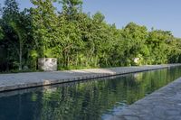 a pool surrounded by greenery on a clear day with trees lining the side, a stone wall and concrete planters next to it