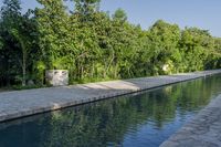 a pool surrounded by greenery on a clear day with trees lining the side, a stone wall and concrete planters next to it