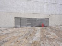 a red fire hydrant in front of a wall with garage door open and a concrete wall behind