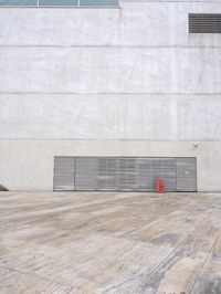 a red fire hydrant in front of a wall with garage door open and a concrete wall behind