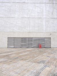a red fire hydrant in front of a wall with garage door open and a concrete wall behind