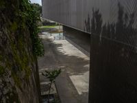 Porto Museum: Urban Landscape from a High Position