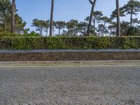 Porto, Portugal: Residential Area with Cobblestone Road