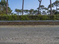 Porto, Portugal: Residential Area with Cobblestone Road