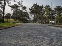 Porto, Portugal: Residential Cobblestone Road