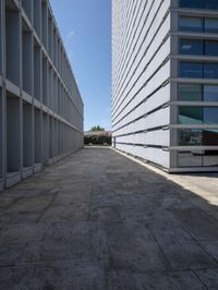 empty walkway outside office buildings in urban area with buildings and green trees in the background