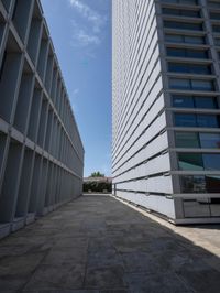 empty walkway outside office buildings in urban area with buildings and green trees in the background