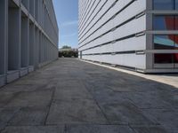 empty walkway outside office buildings in urban area with buildings and green trees in the background