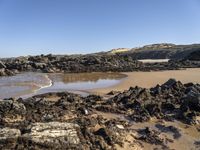 Portugal's Beach: Azure Water and Clear Skies