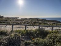 this is the beach area where you can walk along a boardwalk over sand and shrubs