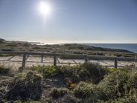 this is the beach area where you can walk along a boardwalk over sand and shrubs