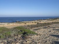 people walking along the road on the beach near the ocean waves and sand hills and scrubland