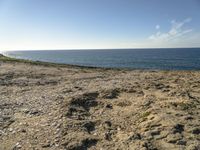 Beach in Portugal: Ocean Waters and Abundant Water Resources