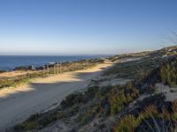 a dirt road along side of a beach near the ocean with flowers and bushes on both sides