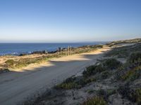 a dirt road along side of a beach near the ocean with flowers and bushes on both sides