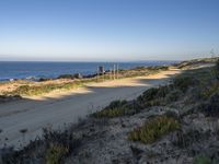 a dirt road along side of a beach near the ocean with flowers and bushes on both sides