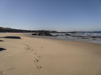 Portugal Beach with Rocky Terrain and Tree