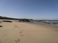 Portugal Beach with Rocky Terrain and Tree