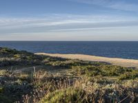 Portugal's Beach: Sand, Water, and Clear Skies