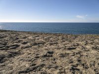 a beach with footprints on the sandy ground, and the ocean in the background with the blue sky