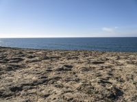 a beach with footprints on the sandy ground, and the ocean in the background with the blue sky